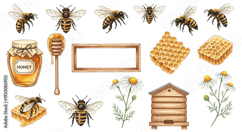 Watercolor bee and honey elements set isolated on white background