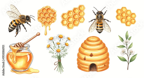 Watercolor bee and honey elements set isolated on white background