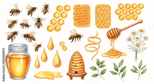 Watercolor bee and honey illustration collection with honeycomb and flowers