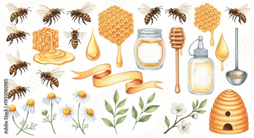 Watercolor bee and honey illustration collection with various related elements