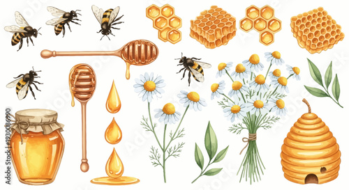 Watercolor bee and honey illustration with natural elements for design