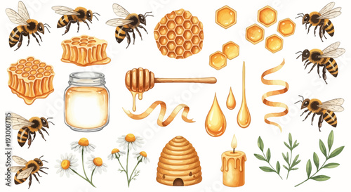 Watercolor bee hive honey comb bees jar flowers illustration elements