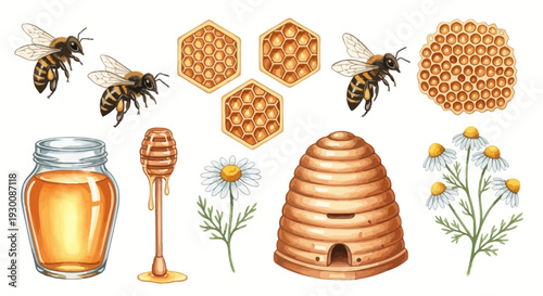 Watercolor bee hive honey comb bees jar honey dipper flower illustration