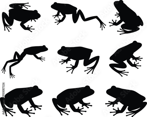 Frog silhouettes collection illustration, amphibian animal poses set, jumping and sitting frogs, wildlife nature vector, black silhouette design