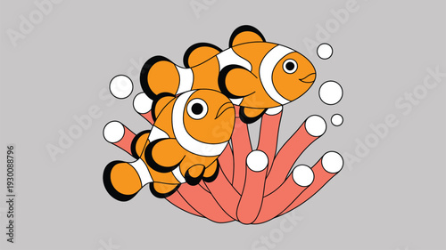 Clownfish coral bubbles marine life