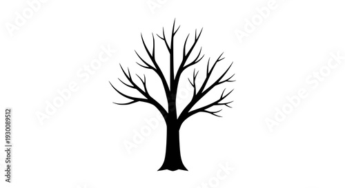 Close-up of a shiny metal whisk with intricate loops, emphasizing its texture and form for culinary use.