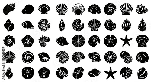 Modern Silver Wire Whisk with Ergonomic Handle, Essential Baking and Cooking Utensil for Home Cooks and Pastry Makers