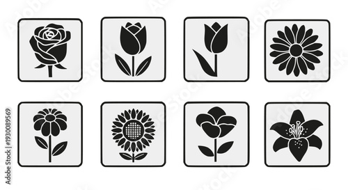 Elegant Stainless Steel Balloon Whisk for Aerating and Blending Ingredients, Professional Grade Kitchen Tool for Chefs