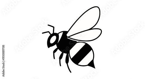 Professional metal whisk, perfect for whipping cream and eggs in the kitchen, isolated on white