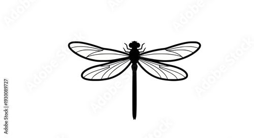 Elegant metal whisk, a cooking utensil for baking and culinary creation, on a white background