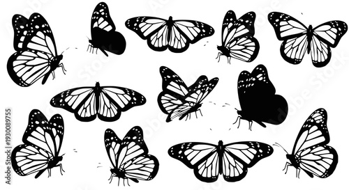 Classic Wire Whisk for Baking and Cooking, Simple Kitchen Tool, Isolated on White, Vector Illustration