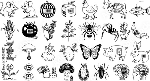 GMO Icons: A Sketchy Illustration of Genetically Modified Organisms and Transgenic Technology