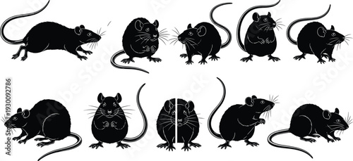 Hand Drawn Black Rat and Mouse Silhouette Set with Various Poses Isolated Vector Illustrations for Pest Control and Animal Design