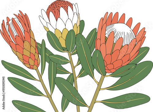 Exotic Protea and Heliconia Flower Bouquet Vector Illustration Scalable EPS Icon for Tropical Designs