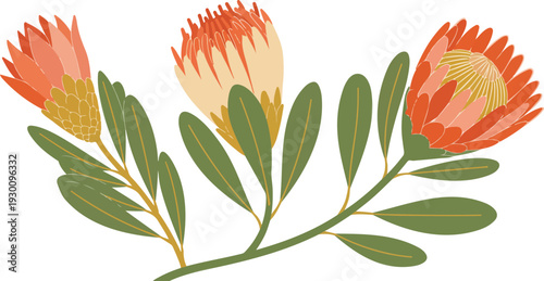 Exotic Protea and Heliconia Flower Bouquet Vector Illustration Scalable EPS Icon for Tropical Designs
