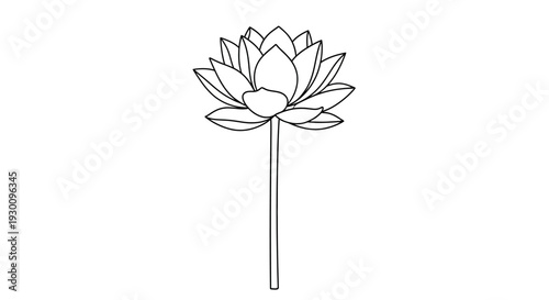 Black and white minimalist lotus flower line art drawing
