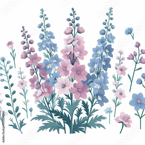 Floral illustration blue  pink delphinium foliage on white backdrop