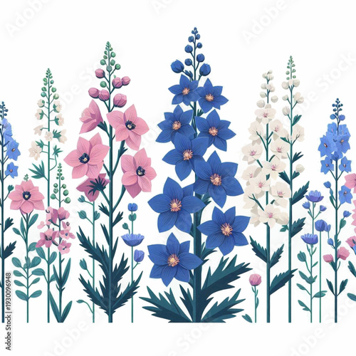 Photography Flowers with distinct 5petal blooms on tall stalks in blue pink white and light