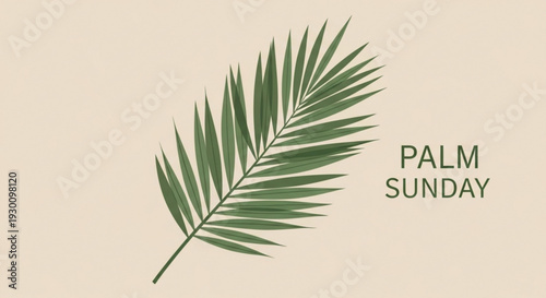 Palm sunday leaf on beige background with green palm frond