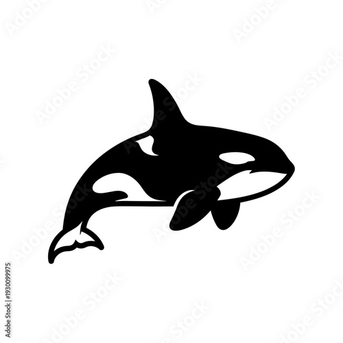 Stylized black and white killer whale illustration