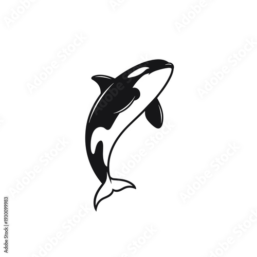 Stylized black and white killer whale illustration jumping upwards