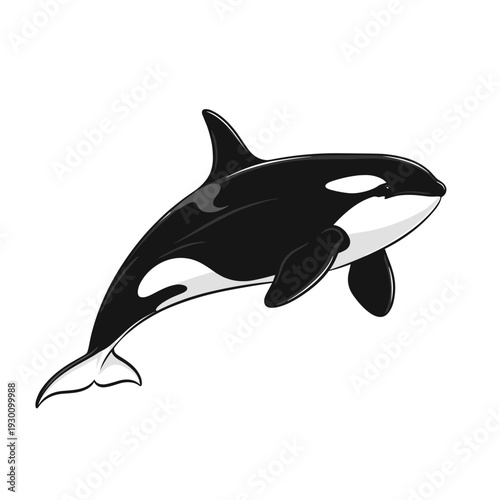Stylized black and white killer whale illustration on a clean white background