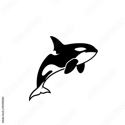Stylized black and white orca illustration in dynamic jumping pose