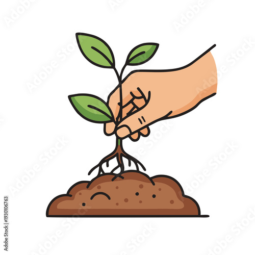 hand planting a young tree sprout in soil gardening concept