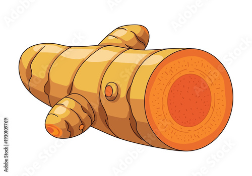 Ginger Root Vegetable Organic Fresh Produce.