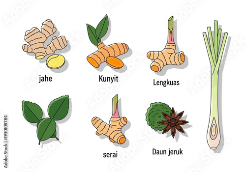 Assorted Herbs and Spices for Cooking.