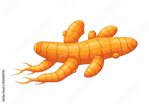 Centipede Insect Crawling on Surface Illustration.