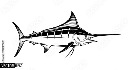 Striking Monochrome Marlin Illustration Captures Marine Predator's Power and Graceful Form