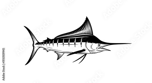 Sleek billfish graphic depicting an elegant and formidable marine creature