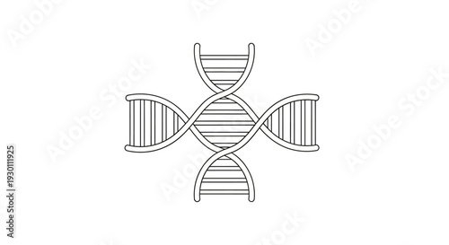 Four DNA helix strands forming cross symbol on white background