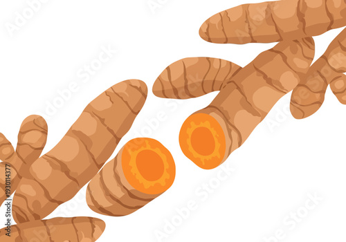 Fresh Turmeric Roots with Cut Sections.