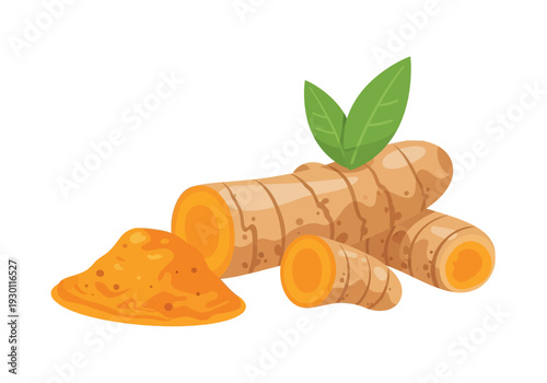 Turmeric Roots and Powder Illustration.