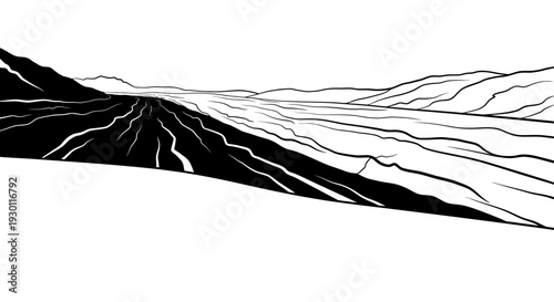 Monochromatic landscape illustration capturing a dramatic valley with intricate ground textures
