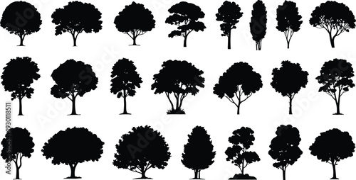 Black silhouette of various deciduous and evergreen trees, forest nature collection, CAD drawing flat vector illustration for architectural site rendering. (20 words)