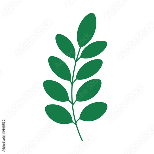 Green plant branch with oval leaves