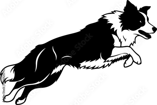 Border collie silhouette vector illustration
