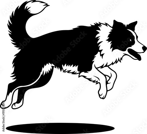 Border collie silhouette vector illustration