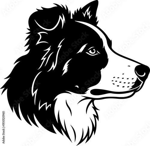 Border collie silhouette vector illustration