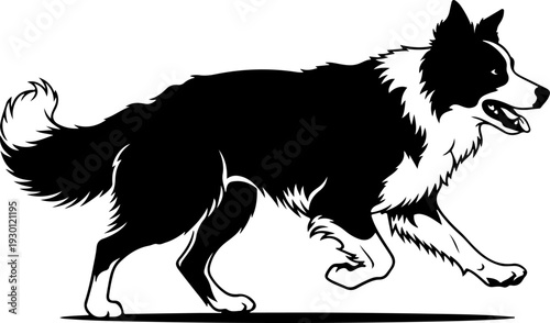 Border collie silhouette vector illustration