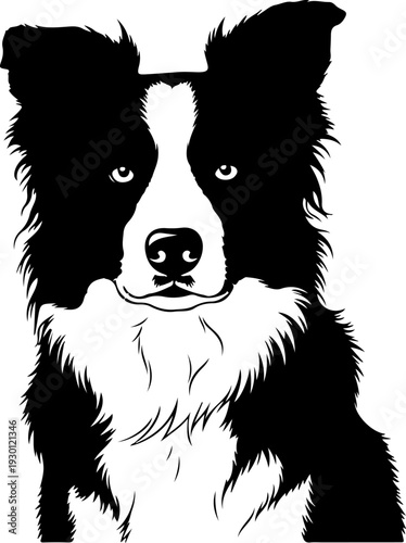 Border collie silhouette vector illustration