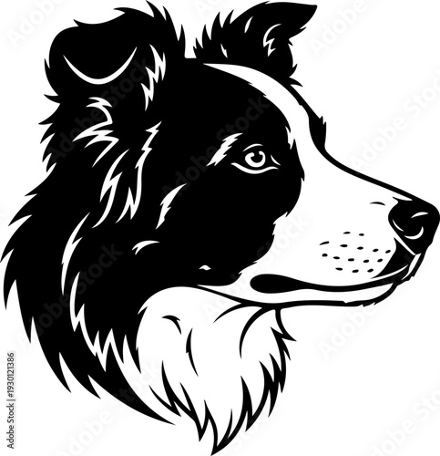 Border collie silhouette vector illustration