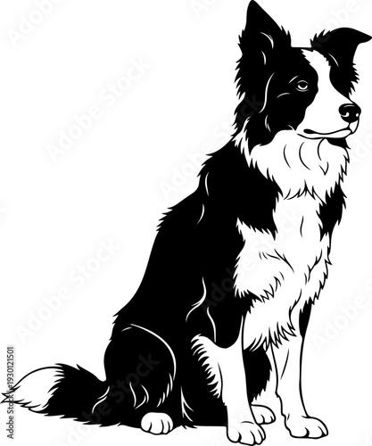 Border collie silhouette vector illustration