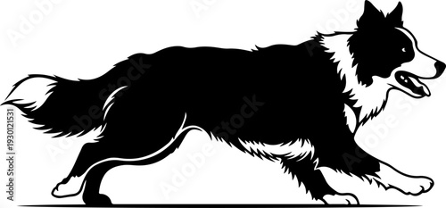 Border collie silhouette vector illustration