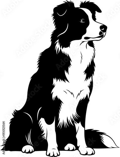 Border collie silhouette vector illustration