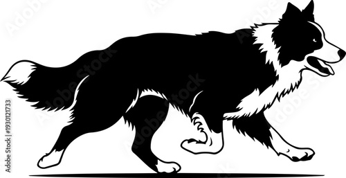 Border collie silhouette vector illustration