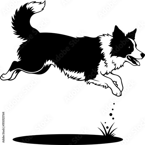 Border collie silhouette vector illustration